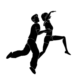 Gliding Through Mist