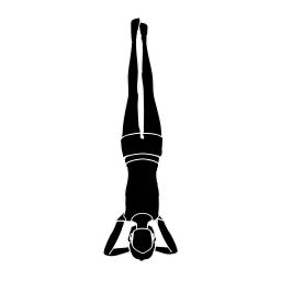 Headstand Pose