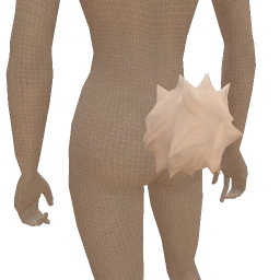 Cosmos White Bunny Tail