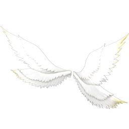 Cosmos x Diah Moon Guardian Angel Wings