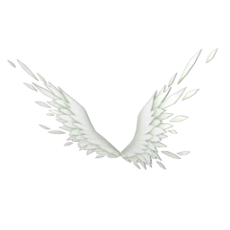 Cosmos x Diah Moon Peace & Tranquillity Wings