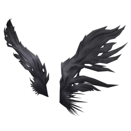Cosmos Torn Raven Wings
