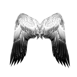 Cosmos Made To Worship Wings