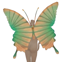 Cosmos Ethereal Summer Butterfly Wings