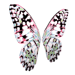 Cosmos Shimmering Butterfly Wings