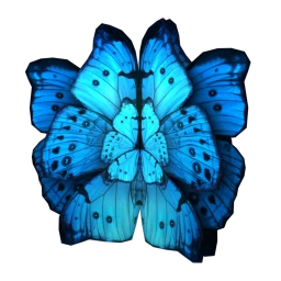 Cosmos Fritillary Wings