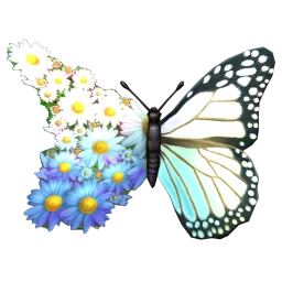 Cosmos Chiricahua Flower Wings