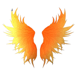 Meet & Match Wings (Orange)