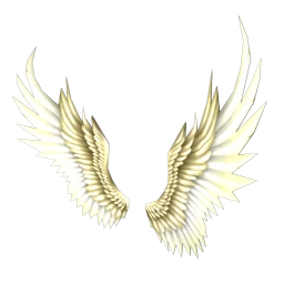 Cosmos x Diah Moon Nike's Wings 