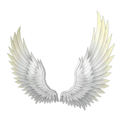 Cosmos x Diah Moon Nephele Wings