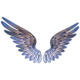 Ikon Elite Phantom Buoyancy Wings