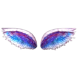USAesthetic City of Angels Wings