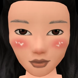 Flawless Coldest Winter Blusher