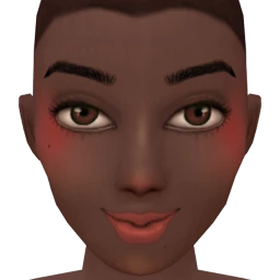 Flawless Content Flush Blusher - Dark