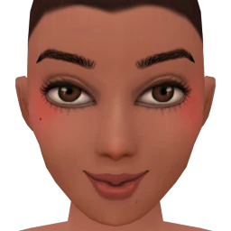 Flawless Content Flush Blusher - Tan