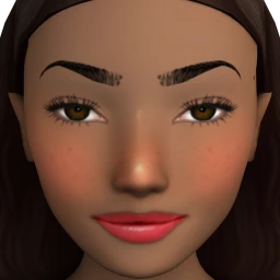 Flawless Pumpkin Blush Contour