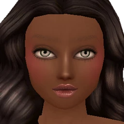 Flawless Sun Kissed Contour (Dark)