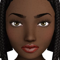 Flawless Gentle Blush Contour (Dark)