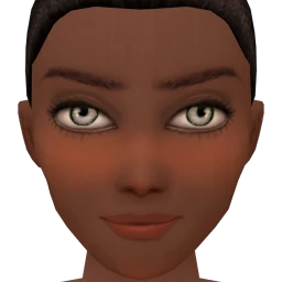 Flawless Ample Blush Contour