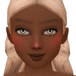 Flawless Winter Chill Blush (Dark)