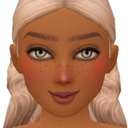 Flawless Winter Chill Blush (Tan)