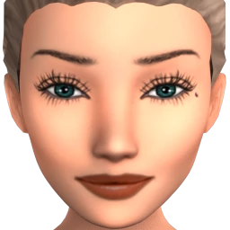 Everyday Contour (High Beauty Spot) - Light