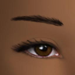 Sculpted Eyebrows