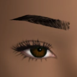 Poolside Perfection Eyebrows