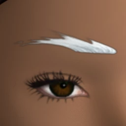 Ikon Elite Frost Eyebrows