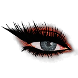 Flawless Fall Forever Eyes