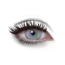 Flawless Winter Lake Eyes