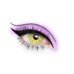 Cosmos Evening Sun Eyes