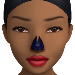 Flawless Skeleton Nose Facepaint