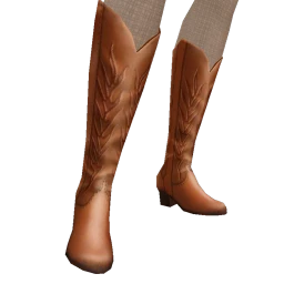 USAesthetics Brown Cowboy Boots