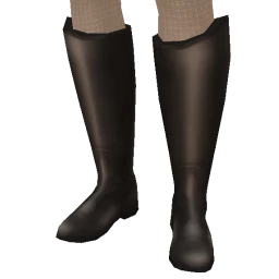 Cosmos Wild Horses Boots