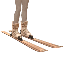 Ikon Elite Ski Boots With Skis