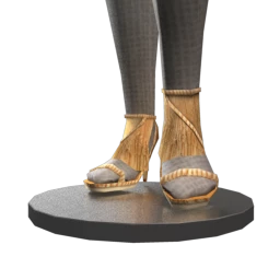 Dazzling Golden Dancing Shoes