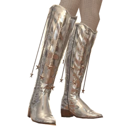 USAesthetics Silver Cowboy Boots