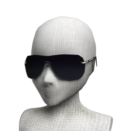 Black Visor Sunglasses