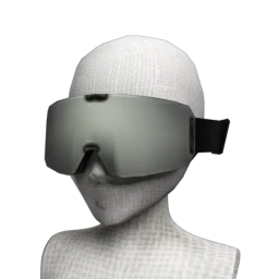 Bionic Drift Ski Goggles