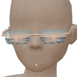 Ikon Elite Luxe Silver Glasses