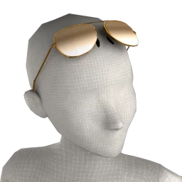 Front Row Round Lens Sunglasses - Raised