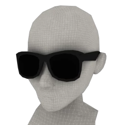 Female Wayfarer Sunglasses - Black