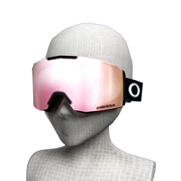 Oakley Fall Line Snow Goggle