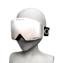 Oakley Flight Deck™ Snow Goggle