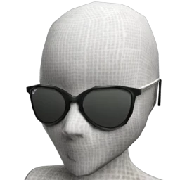 Ray-Ban ERIKA VELVET