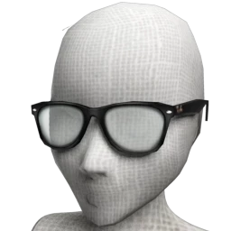 Ray-Ban NEW WAYFARER OPTICS