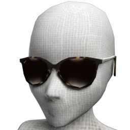 Ray-Ban ERIKA CLASSIC