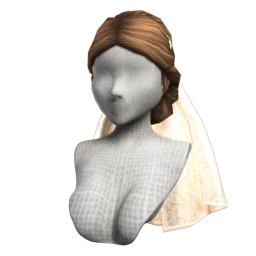 Lierre Updo with Veil