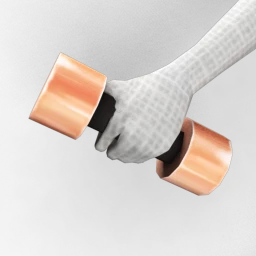 Bionic Rose Gold Dumbbells